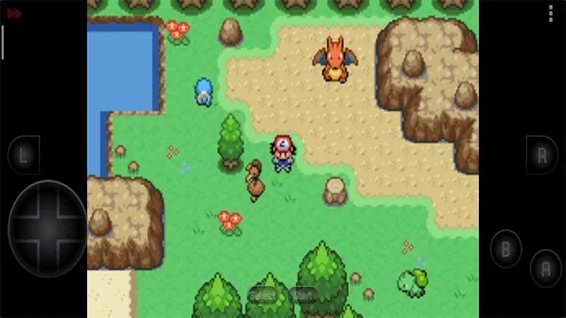 �ڴ���������Ⱥ��2026�ٷ����°汾