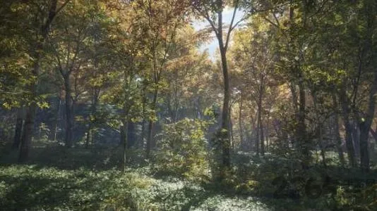 ����Ұ�Եĺ���v1.5 ��Ѱ�