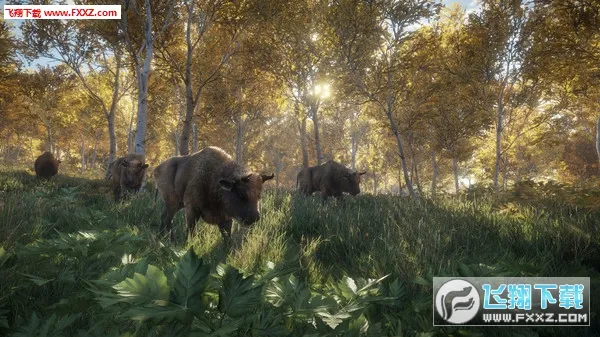 ����Ұ�Եĺ���v1.5 ��Ѱ�