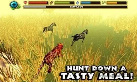 ����ģ����v1.3.4 ��Ѱ�