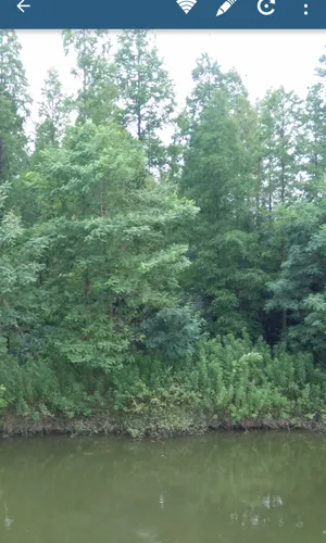 ��Ƭ��v80.12.18.2023 ��׿��