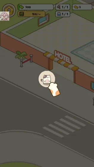 �ҵ�����è�ù�