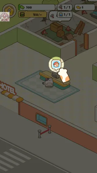 �ҵ�����è�ù�