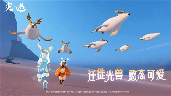 ����oppo��v0.12.5 �ٷ�����