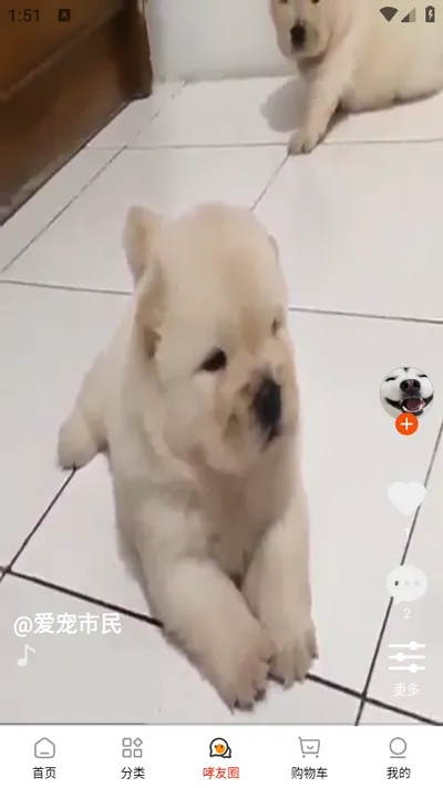 ��С��2026���ذ�װv1.0.9 �ٷ�����