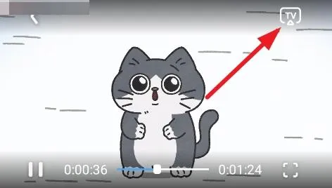 ���Ŷ���