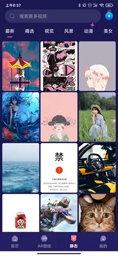 ���⶯̬��ֽ2026���°汾