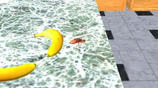 ���ģ����2026�ٷ�����