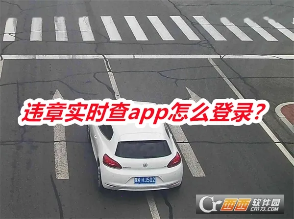 违章实时查最新手机版 违章实时查最新手机版