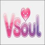 vsoul΢��v3.0.1 �ֻ���