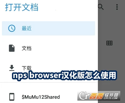 NPS Browser2026最新版本 NPS Browser2026最新版本
