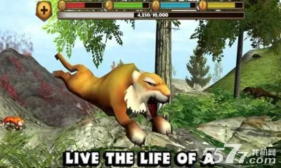 ���ݻ�ģ����v1.2 �ֻ���