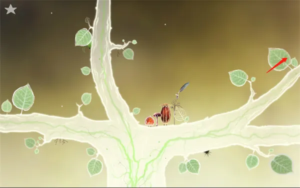 botanicula完整版 botanicula完整版