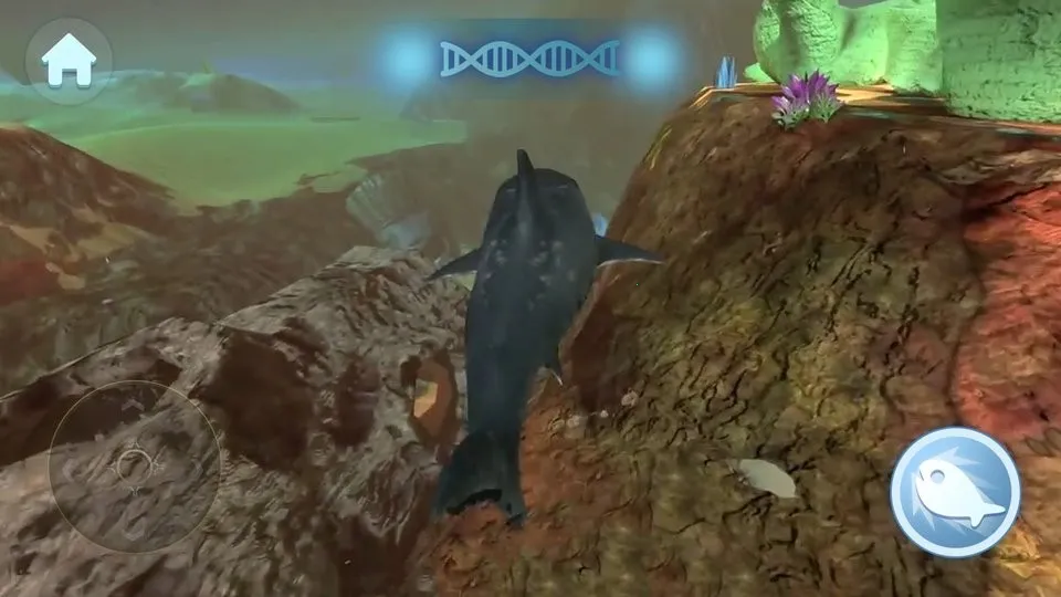 �����С�㾭�������v1.0 �ٷ�����