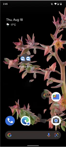 teamviewerQuickSupport����