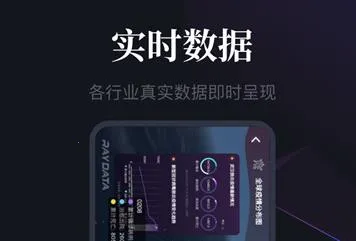 RayData�����ֻ���