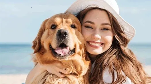 �������2026���°汾