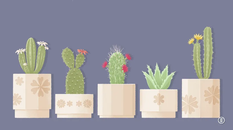 ����һ�㿴���������ֻ���v3.5.81 ��׿��