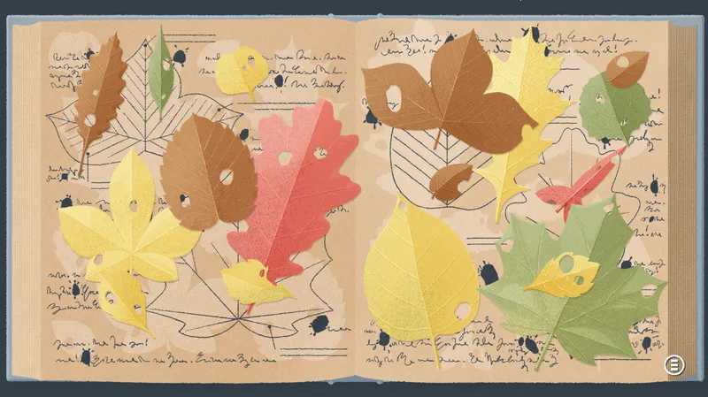 ����һ�㿴���������ֻ���v3.5.81 ��׿��