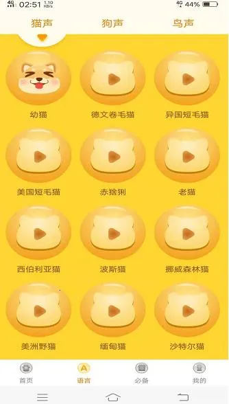 ���﷭�������ذ�װv6.2.369 ��Ѱ�