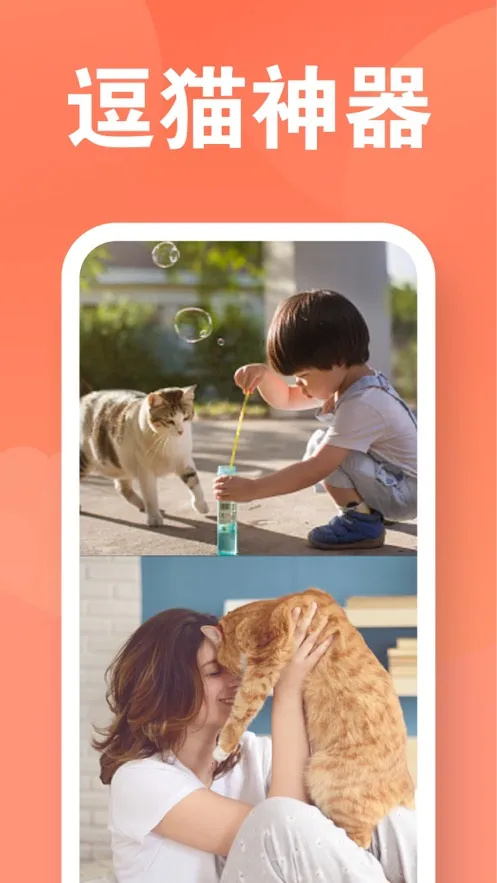 ���﷭�������ذ�װv6.2.369 ��Ѱ�