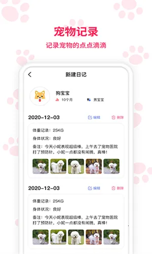 ���﷭�������ذ�װv6.2.369 ��Ѱ�