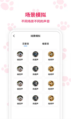 ���﷭������ô������Ѱ�v6.2.369 ��׿��