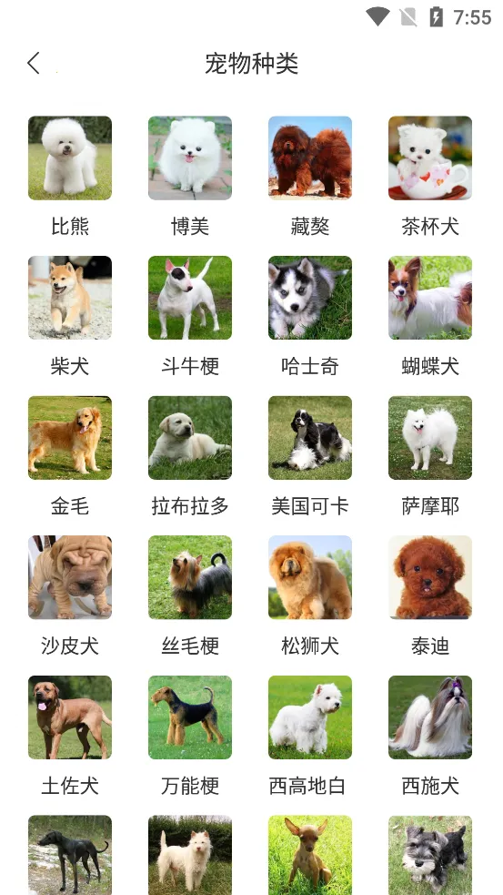 ���﷭��������v6.2.369 �ֻ���