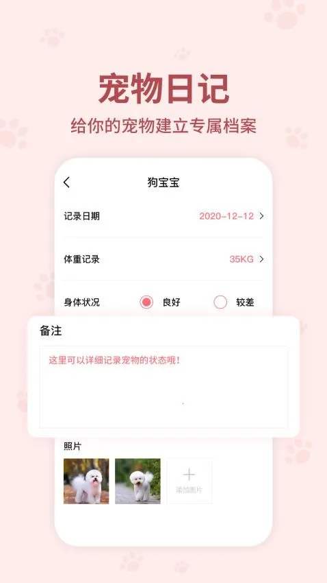 ���﷭����������عٷ�����v6.2.369 ��Ѱ�