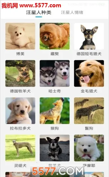 ���﷭�����������v6.2.369 �ֻ���