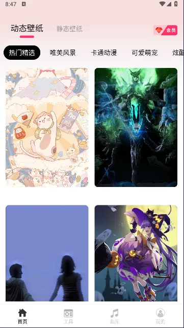 intoLive官网版下载 intoLive官网版下载