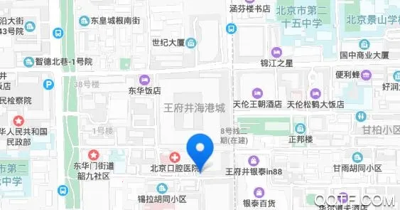 ������app��׿������