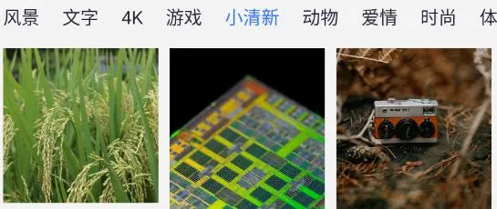 ����С���������ֻ���