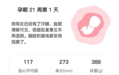 fetalheart胎心仪 fetalheart胎心仪