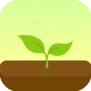 forestv5.8.0 �ֻ���