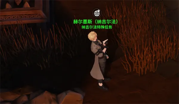 �������ξ�2026���ذ�װ