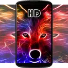 �޺��ֽ2026�ٷ�����v4.1.1.0 �ٷ�����