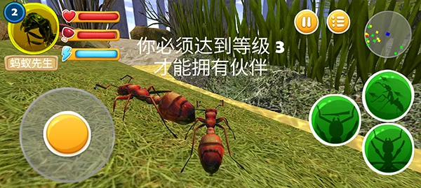 蚂蚁部落 蚂蚁部落