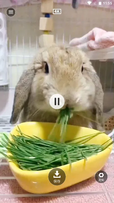 ��̩��̬��ֽv1.0.0 �ٷ�����