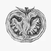 θ֮�鰲׿���ֻ���v2.0.1 ��Ѱ�