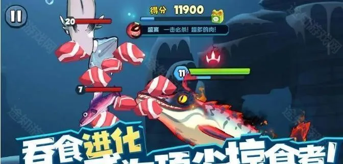 ��������ذ�װ