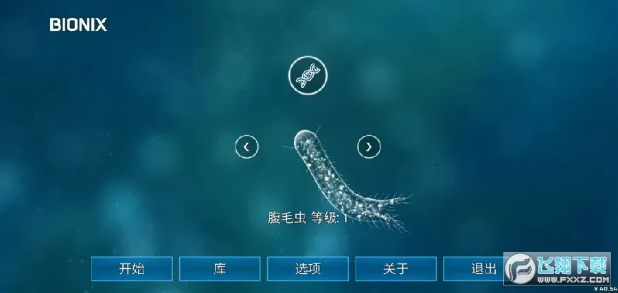 孢子的起源 孢子的起源