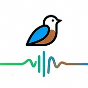 ���﷭����prtV3.0 �ֻ���