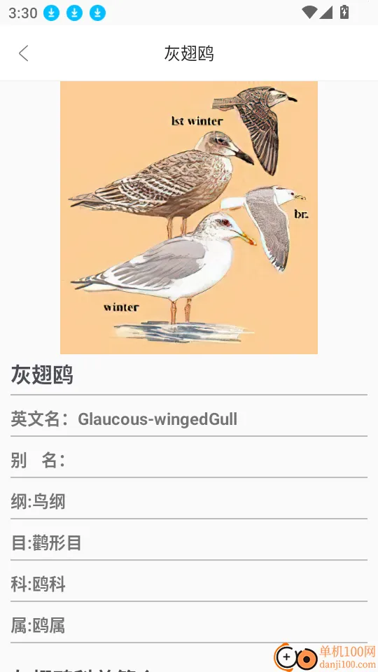 鸟语翻译器prt 鸟语翻译器prt