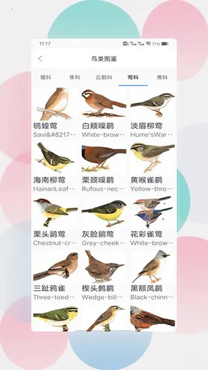 鸟语翻译器prt 鸟语翻译器prt