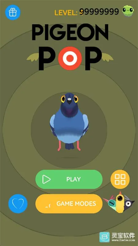 pigeon疯狂的鸽子 pigeon疯狂的鸽子