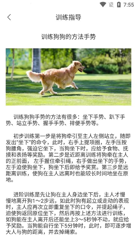 ���﷭����ȫ������v6.2.369 ��Ѱ�