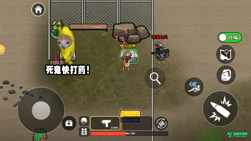 �޹��������޹�������