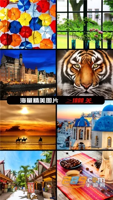 ������Ҳ�����v3.9 �ֻ���