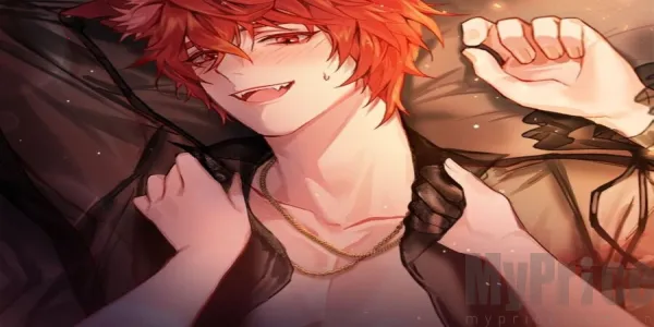 Ť���İ���